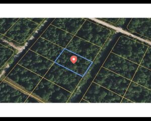 0.33 Acres in Horseshoe Bend, Izard County, AR – Springfield Avenue