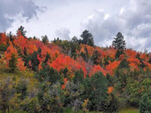 RARE 10-ACRE RETREAT IN STUNNING SOUTHERN UTAH – 1830 W Silverado Ridge, Alton, UT 84710