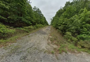 0.33 Acres in Horseshoe Bend, Izard County, AR – Springfield Avenue