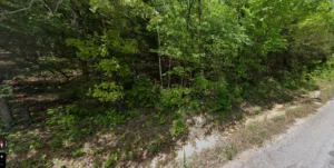 0.34 Acres in Horseshoe Bend, Izard County, AR – Cedar Creek Drive