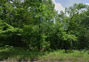 0.34 Acres in Horseshoe Bend, Izard County, AR – Cedar Creek Drive