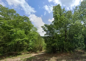 0.34 Acres in Horseshoe Bend, Izard County, AR – Cedar Creek Drive