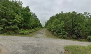 0.33 Acres in Horseshoe Bend, Izard County, AR – Springfield Avenue