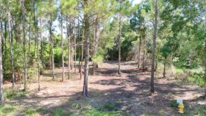 Vacant lot in Pass Christian, MS