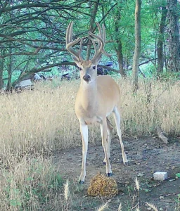 104 +/- acres in SouthEast Kansas