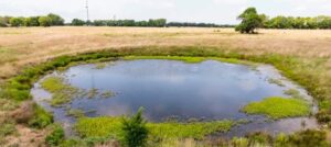 104 +/- acres in SouthEast Kansas