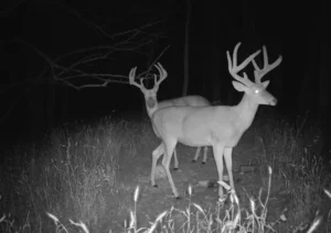 104 +/- acres in SouthEast Kansas
