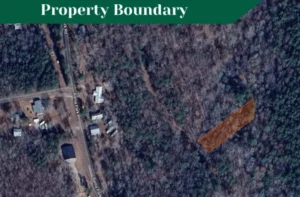 Prime 0.55-Acre Lot in Dadeville, AL