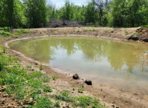 22 Acres