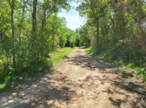 22 Acres