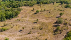 Gracyn Meadows – 3 to 7.5 Acre Tracts, Okfuskee County OK – $999 Down