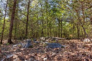 Autumnwood – 5.7 to 7.5 Acre Wooded Tracts, Fulton County AR – RVs Allowed – $999 Down