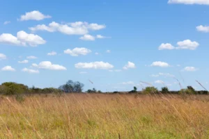 Gracyn Meadows – 3 to 7.5 Acre Tracts, Okfuskee County OK – $999 Down