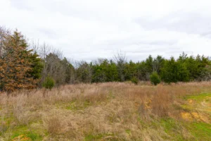 Reserves at Cattail Cove – Wooded Tracts near Lake Eufaula, OK – $999 Down