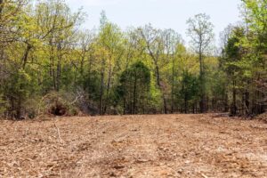 Autumnwood – 5.7 to 7.5 Acre Wooded Tracts, Fulton County AR – RVs Allowed – $999 Down