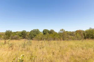 Gracyn Meadows – 3 to 7.5 Acre Tracts, Okfuskee County OK – $999 Down