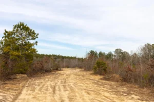 Baker Creek – 5 to 6 Acre Tracts, Fayette County AL – RVs Allowed – $999 Down