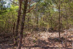 Autumnwood – 5.7 to 7.5 Acre Wooded Tracts, Fulton County AR – RVs Allowed – $999 Down