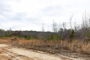 Baker Creek – 5 to 6 Acre Tracts, Fayette County AL – RVs Allowed – $999 Down