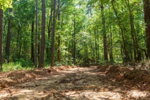 Willow Grove – 5 to 6 Acre Wooded Tracts, Lamar County AL – RVs Allowed – $999 Down