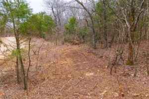 Reserves at Cattail Cove – Wooded Tracts near Lake Eufaula, OK – $999 Down