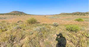 Colorado City Residential Lot on Plum Creek Ln