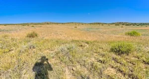 Colorado City Lot on Beaver Creek Dr Near Greenhorn Valley
