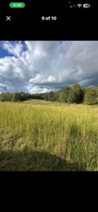 Rural land for sell