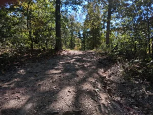 Acerage Near Table Rock Lake- No Restrictions