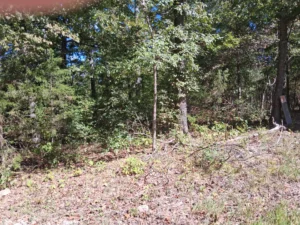 Acerage Near Table Rock Lake- No Restrictions