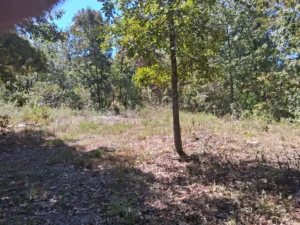 Acerage Near Table Rock Lake- No Restrictions