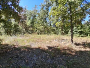 Acerage Near Table Rock Lake- No Restrictions