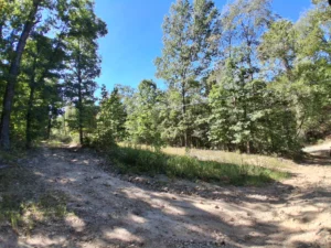 Acerage Near Table Rock Lake- No Restrictions