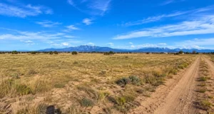 0.18 Acre Colorado City Lot on Grape Creek Dr